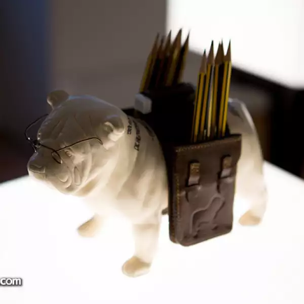 Borris el perro ilustrado de Francisco Martín Moreno