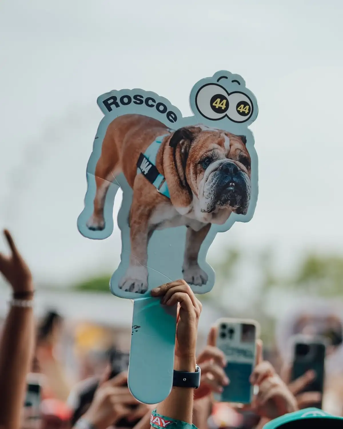 Roscoe-Hamilton-fans.jpg
