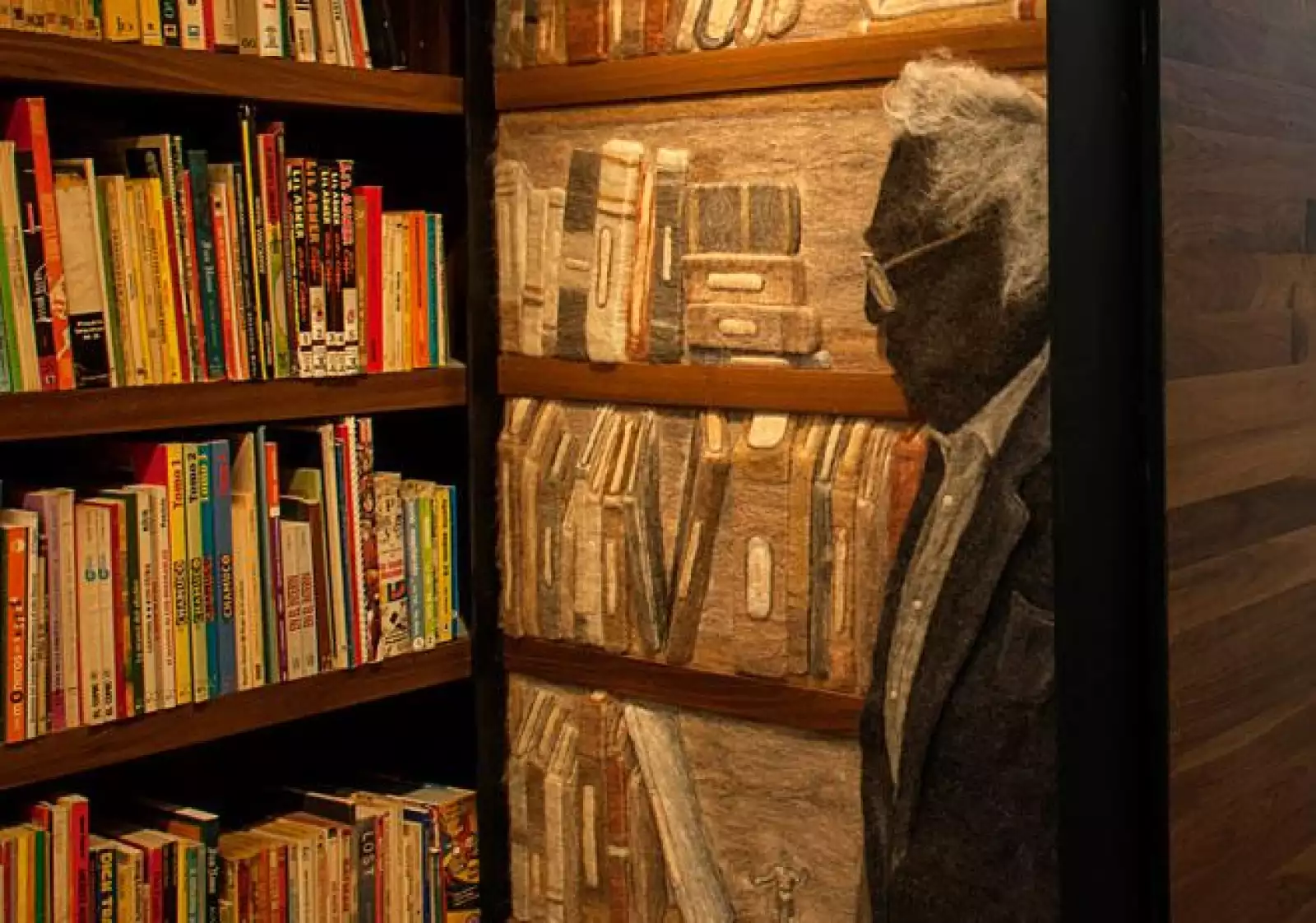 Biblioteca Carlos Monsivais 02