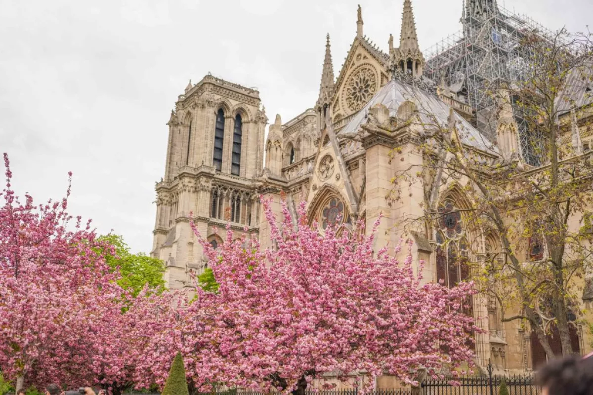 Spring Illustration In Paris