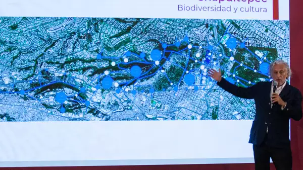 Cuarta Sección Chapultepec proyecto