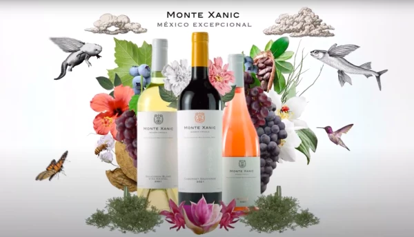 Monte Xanic bodega con barricas de vinos
