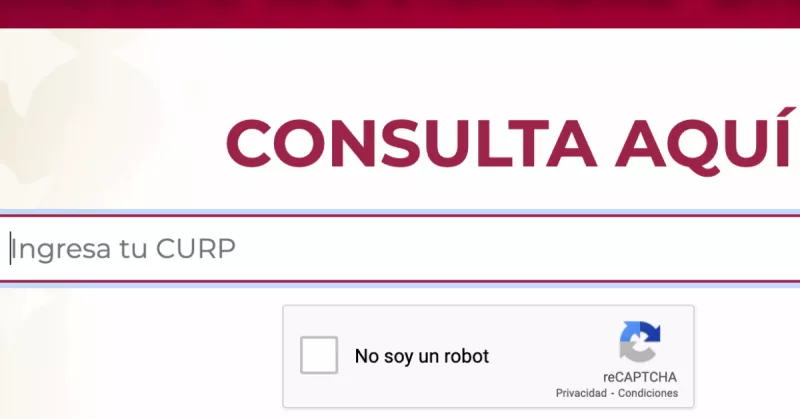 consulta-pago-bienestar-curp.jpg