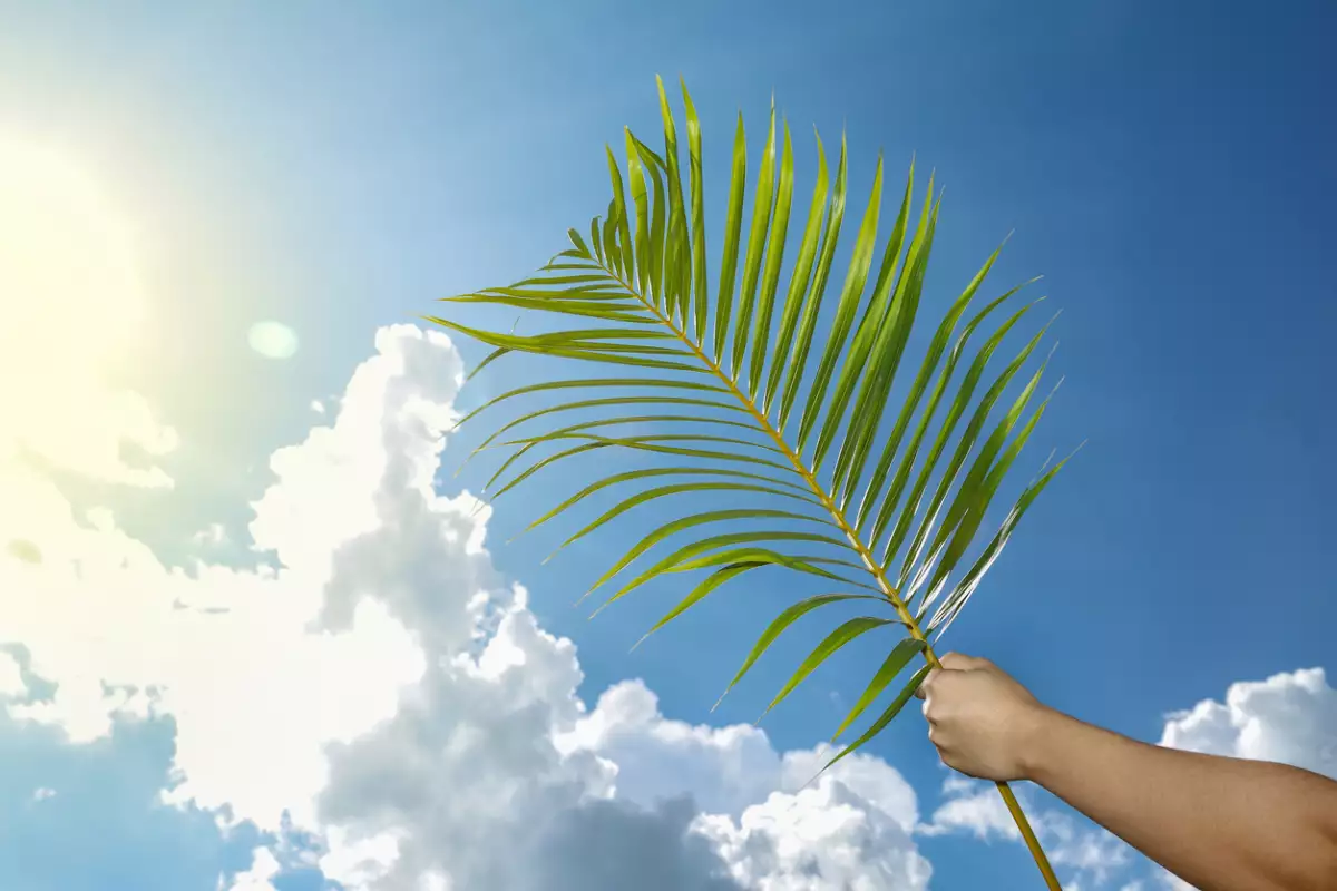 semana santa 2023 vacaciones en México