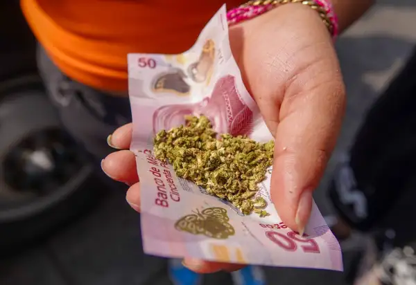 marihuana