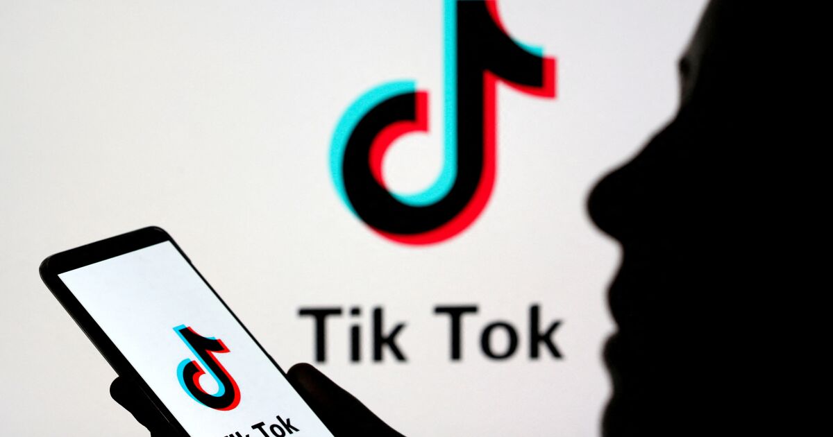 Tiktok yeni kültür laboratuvarımız mı?