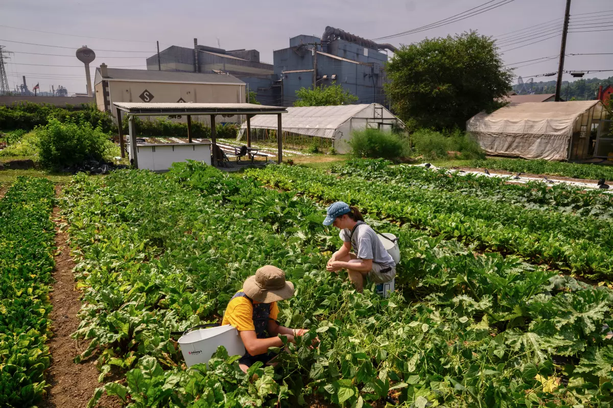 agro campo economía méxico