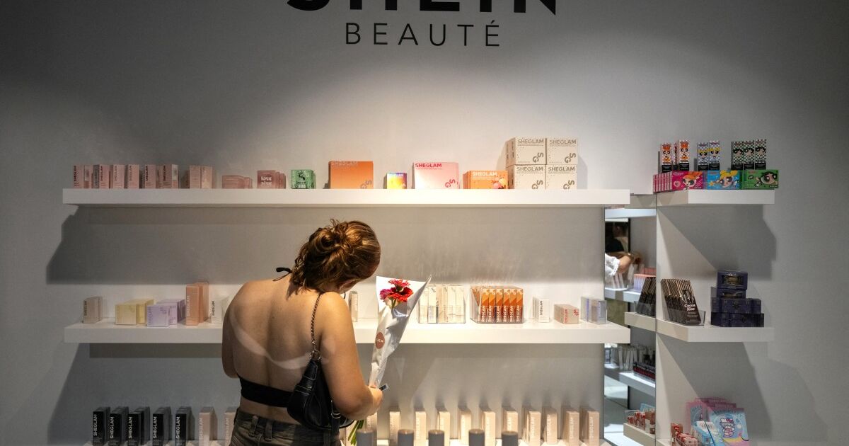 Aldatıcı uygulamalar için Fransa Fine Shein