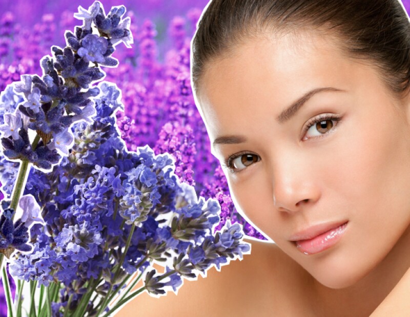 ¿Sabías que además de ser un gran tranquilizante la lavanda tiene grandes beneficios para la piel y el pelo? Te invitamos a descubrir cuáles son.