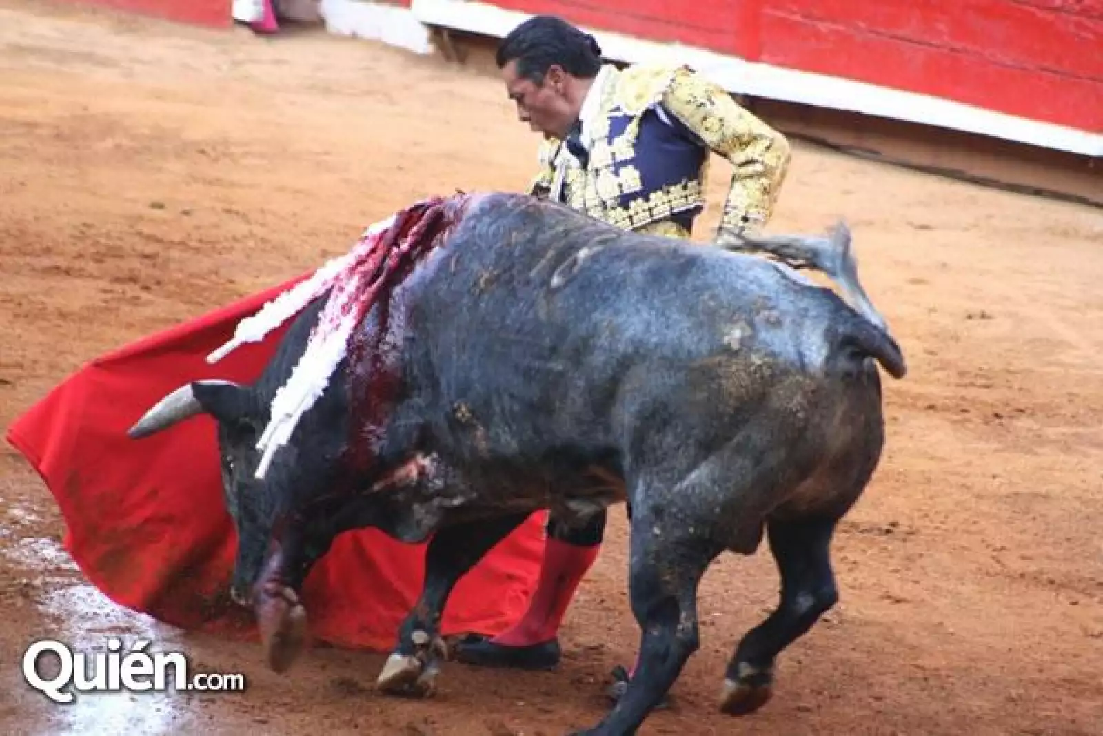 toros 1 fecha