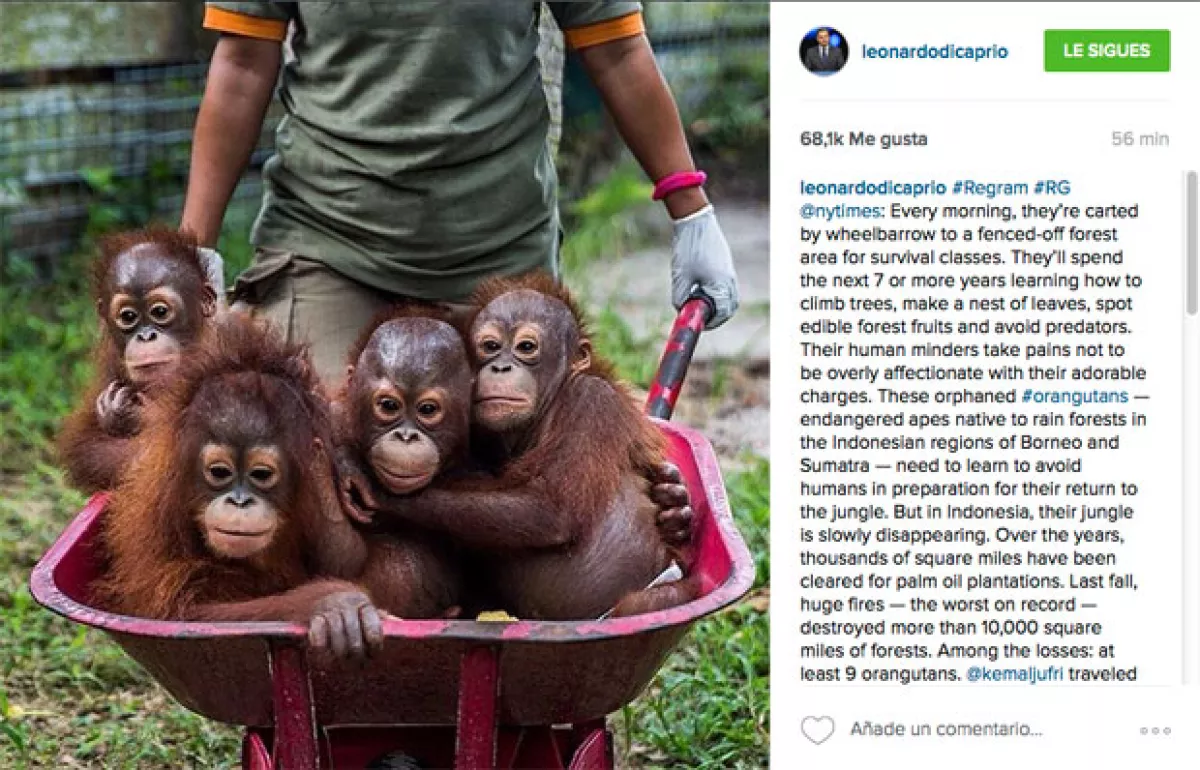 Sin embargo, la primer ministro aseguró que esto no es así.