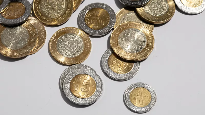 Cetes vs Inflación, estos son los plazos en lo cuales te conviene invertir en febrero