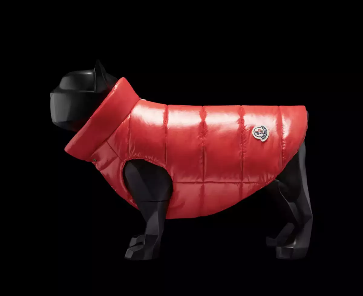 moncler perros