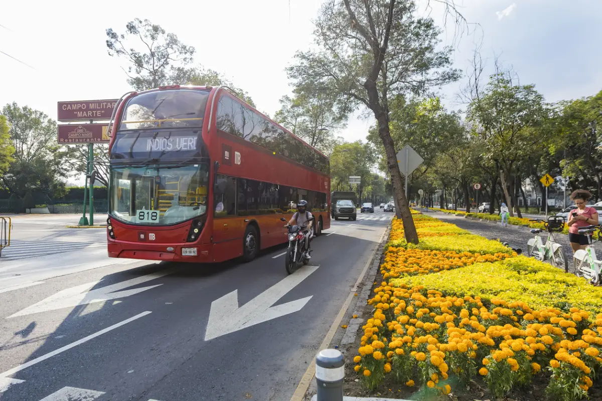¿Qué es la Alianza de Movilidad Sostenible en México y cuál es su objetivo?