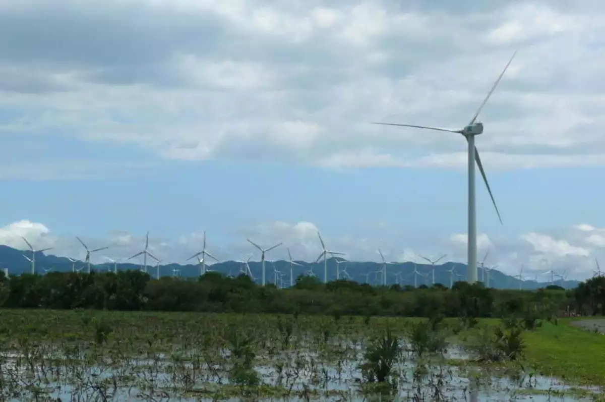 Proyecto E�lico Piedra Larga