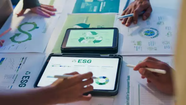 ¿Qué son las Normas de Información de Sostenibilidad?