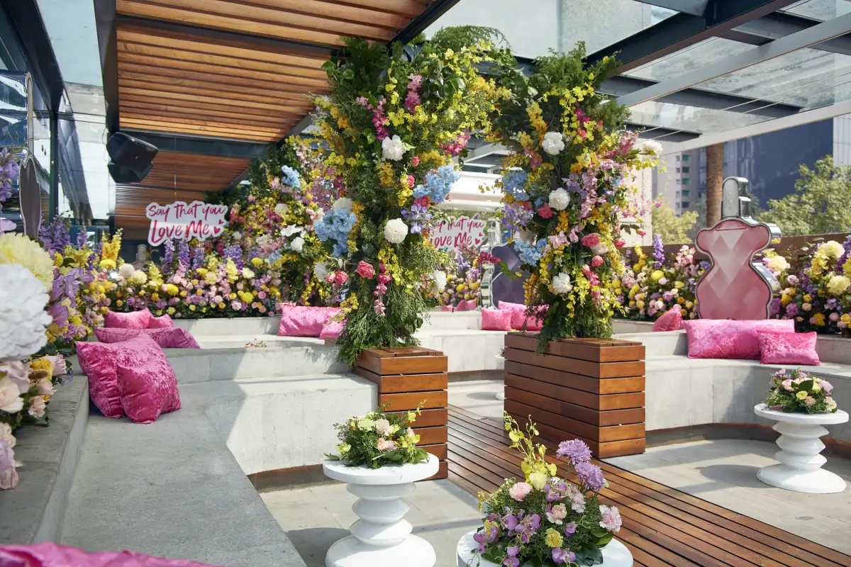 popup-febrero
