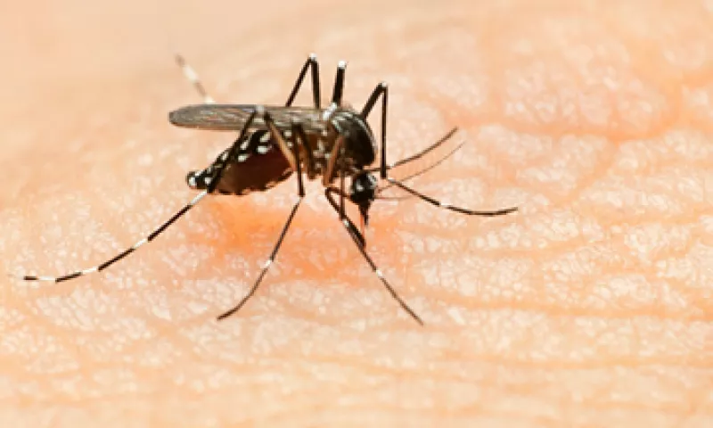 México ya tiene casos registrados de este virus, transmitido por medio de mosquitos. (Foto: Getty Images)