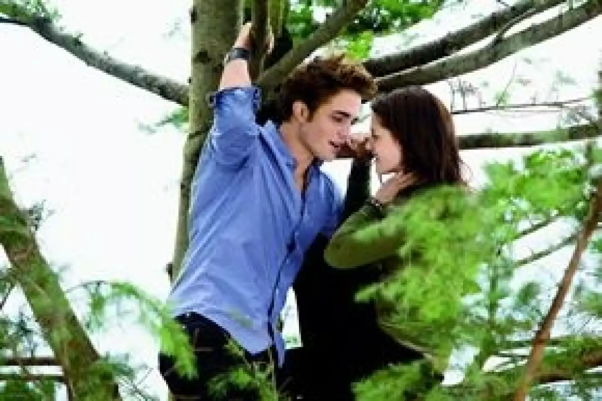 Los críticos han dicho que Robert y Kristen son ideales para los personajes.