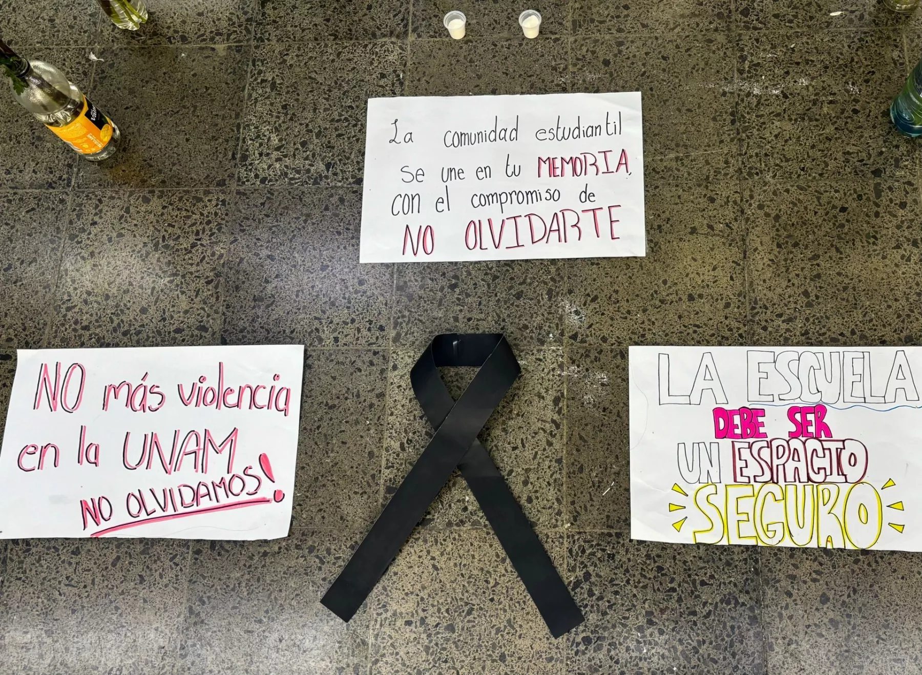 cch sur violencia