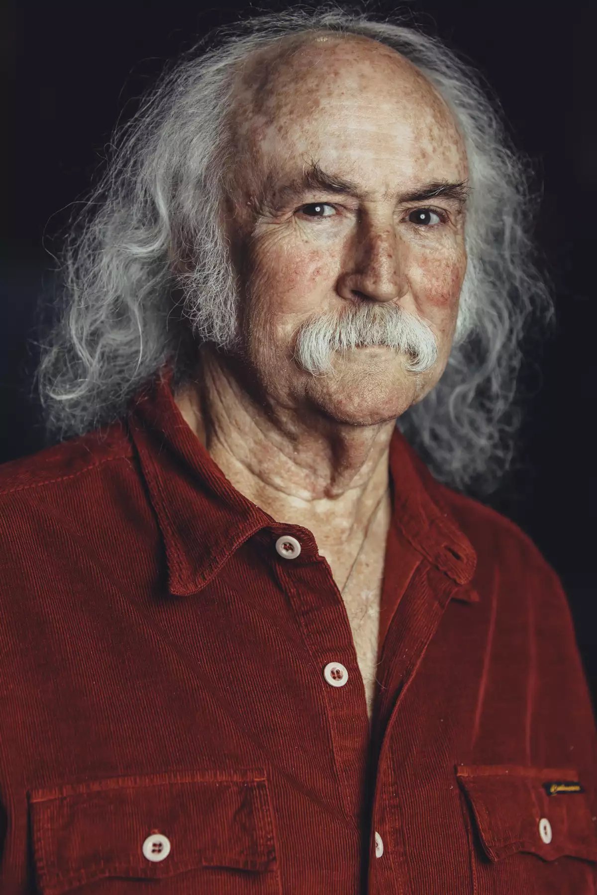 david-crosby-salon-fama