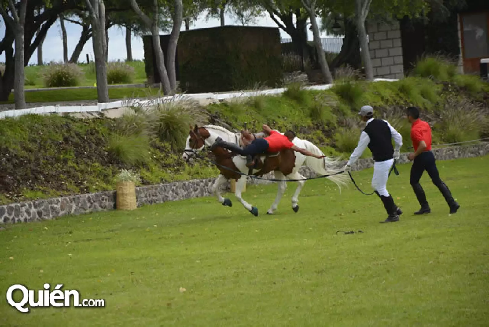 Doma y exhibición de destreza de jinetes y caballos