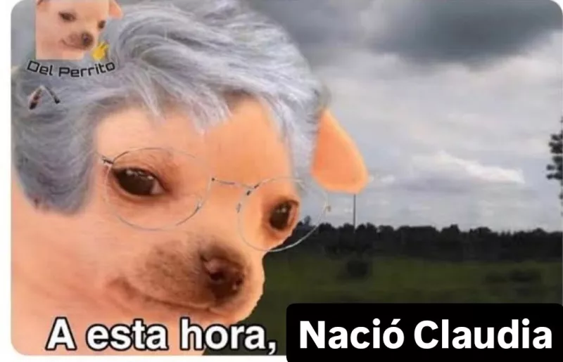 GY0Ju34X0AIsHhB.jfif