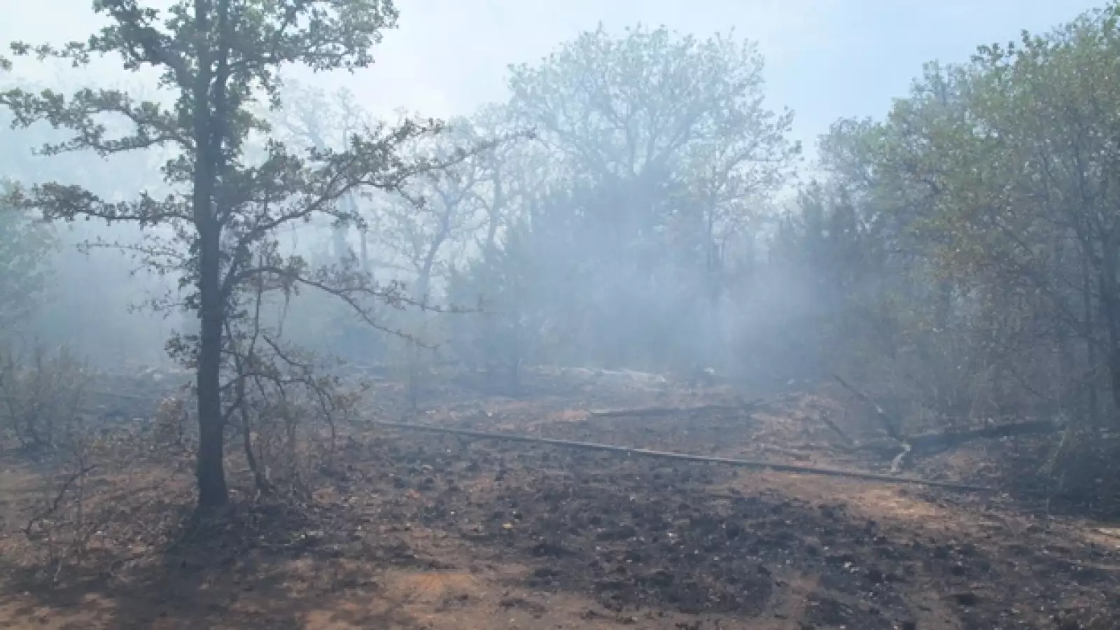 Texas - incendios forestales