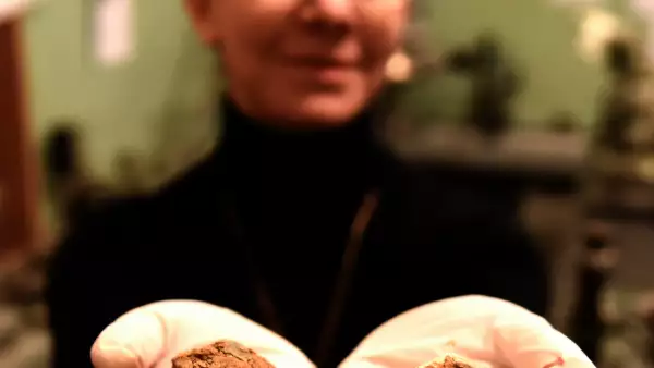 GEORGIA-SPACE-AGRICULTURE-FOOD-DRINK-WINE