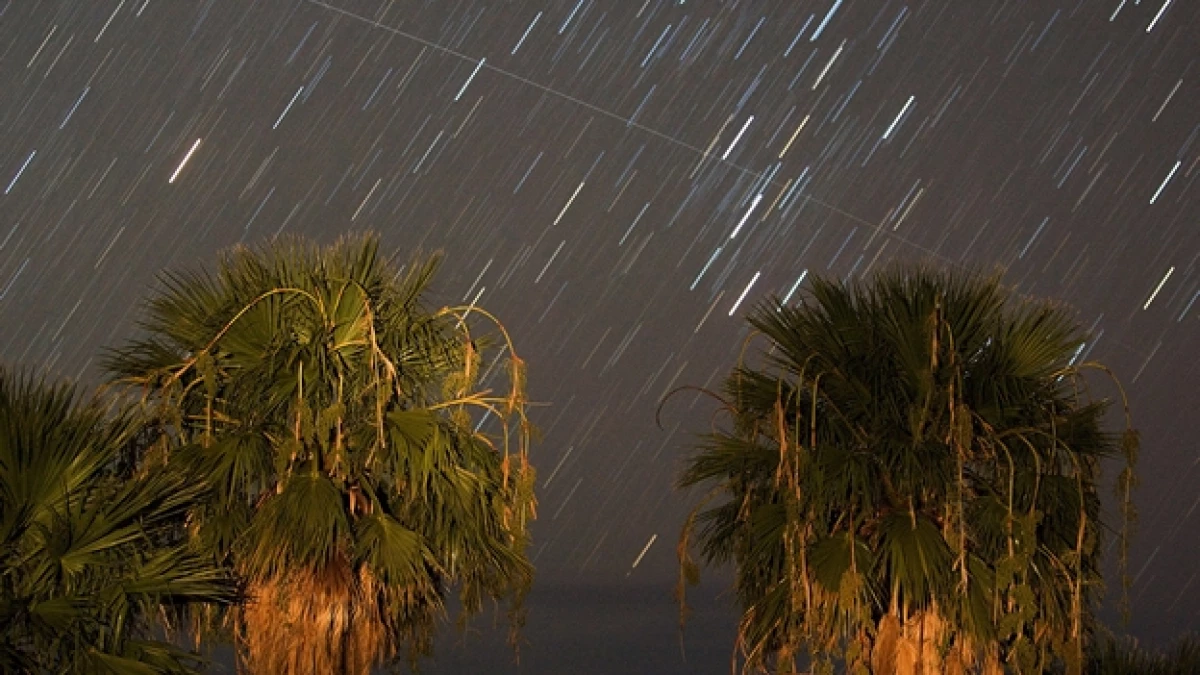perseidas