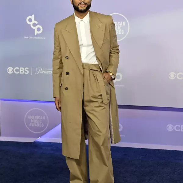 52nd American Music Awards - Arrivals