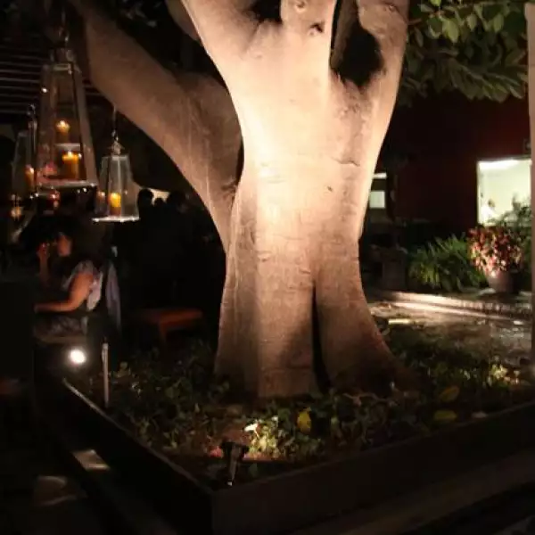 Relanzamiento Casa Poniente