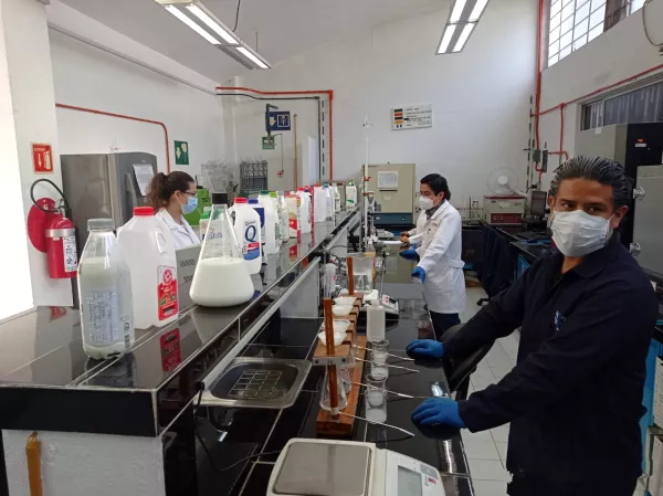 La Profeco informó que hay leche de vaca que no cumple.con los requisitos. (Personas haciendo el estudio a distintas marcas de leche). 