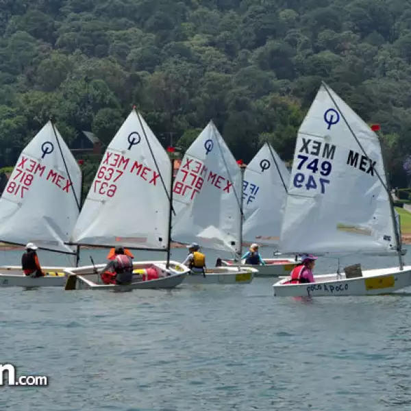 Copa de Vela Palacio