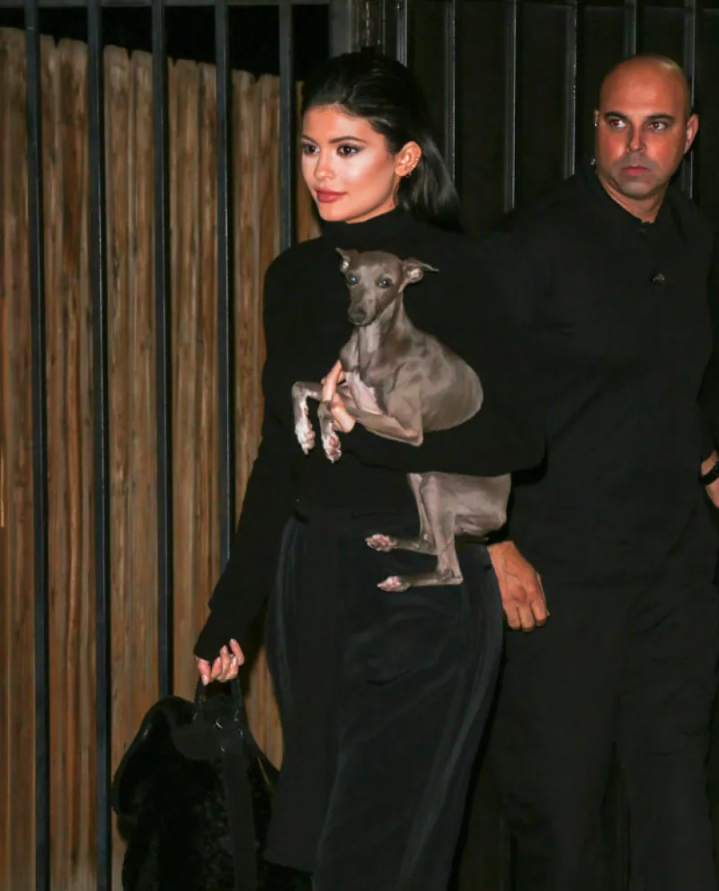 La menor de las Kardashian publicó un video la semana pasada de dos de sus mascotas, generando indignación entre sus fans por lo delgados que se veían.