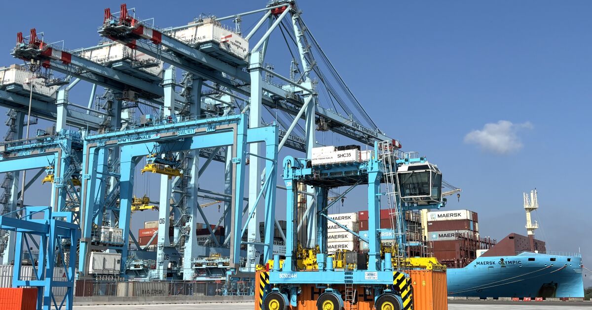 APM Terminals, lojistik kapasitesini genişletmek için Lázaro Cárdenas'a 350 milyon dolar yatırım yapıyor