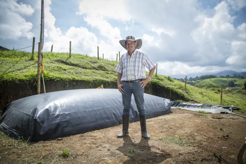Biocombustible con estiércol