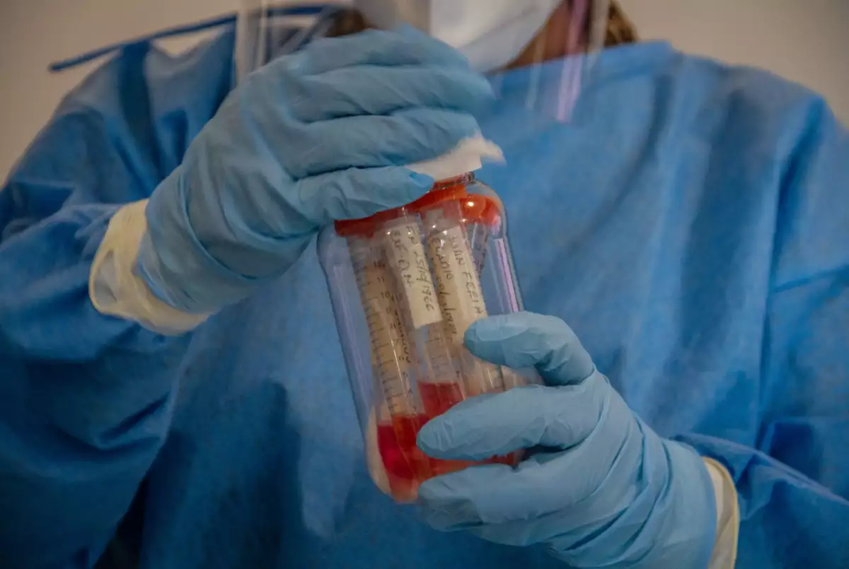 Pruebas de detección