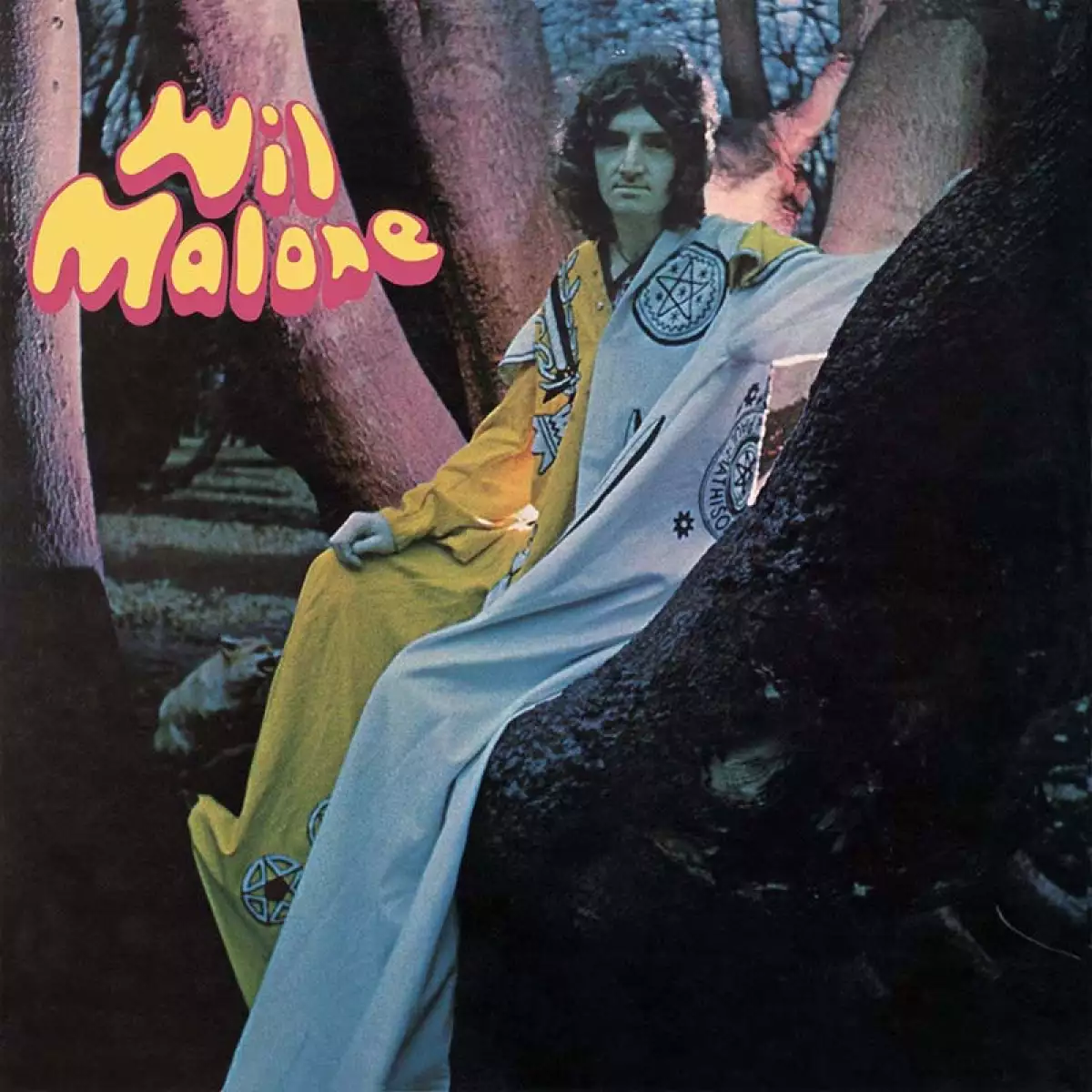 Vinilo 4.jpg