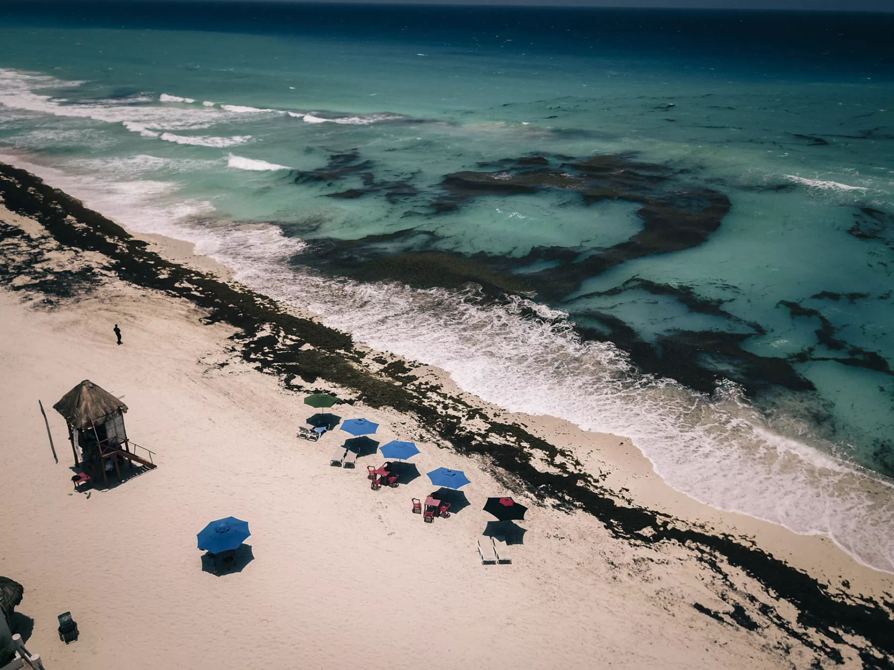 Sargazo cancún
