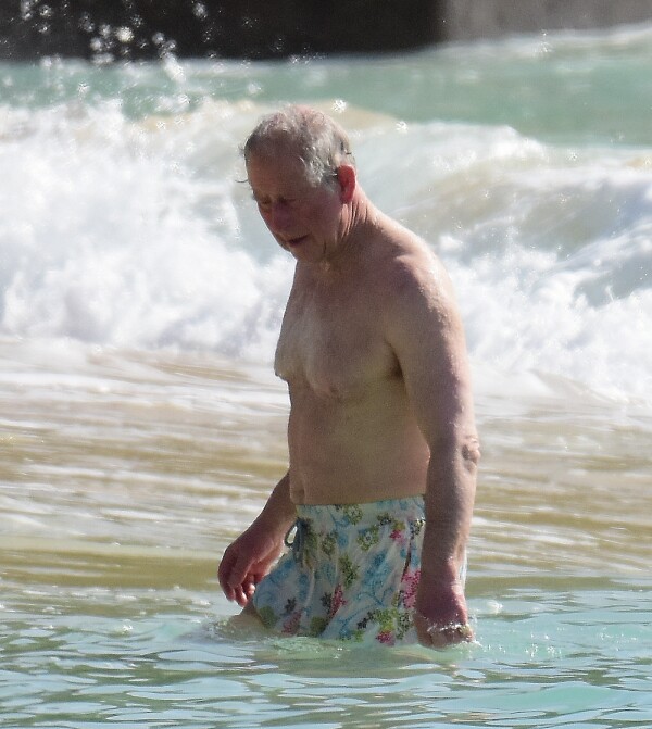 EXC Prince Charles, Camilla Parker