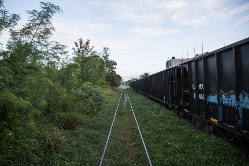 tren maya