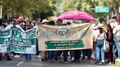 Dos carteles, uno blanco y uno café con verde que portan personas en una avenida con árboles y sombrillas.jpg