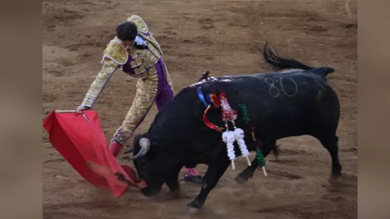 Plaza de Toros Arturo Saldívar