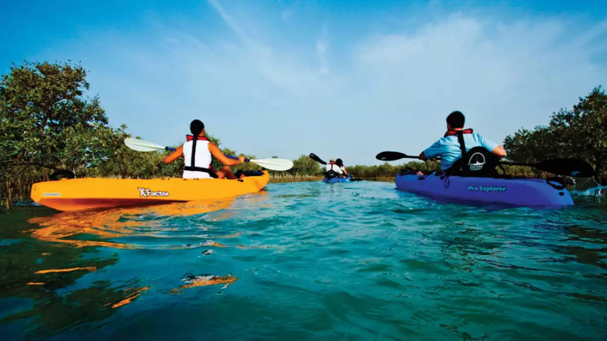kayak.jpg