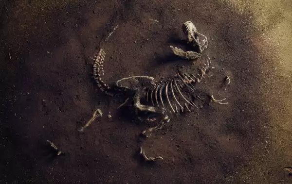 paleontologia