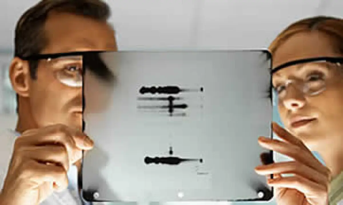 Investigación (Foto: Jupiter Images)