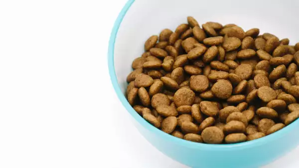 Asistencia en redes sociales. 