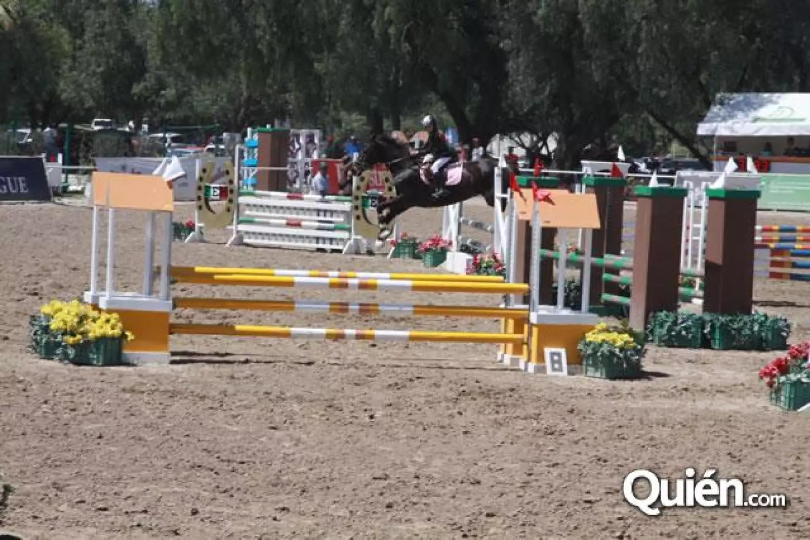 Circuito Mexicano 2010