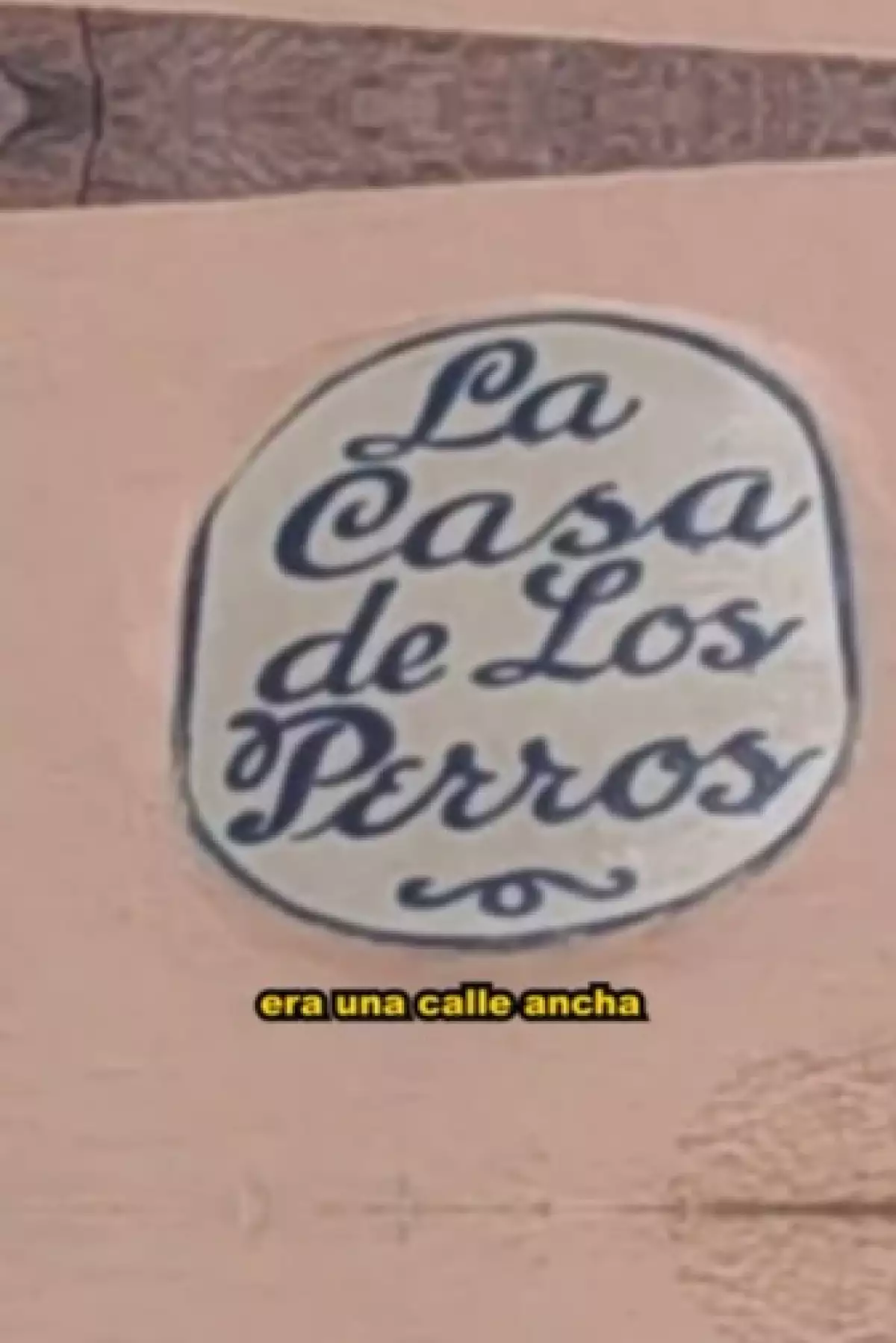 la-casa-de-los-perros